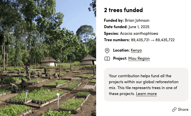 ecologi we plant trees with your name on